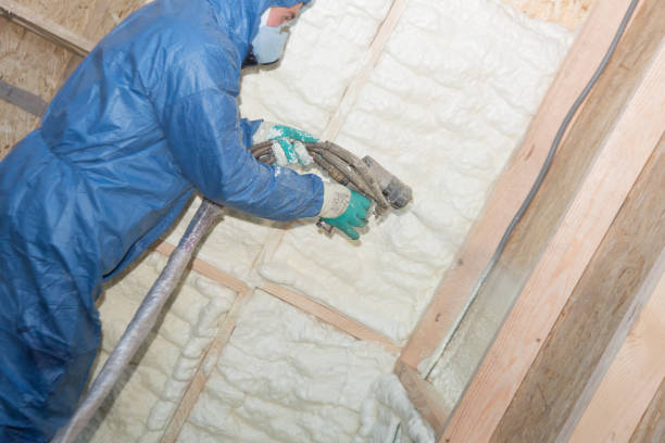 Best Pipe and Duct Insulation  in Lakeview, OH